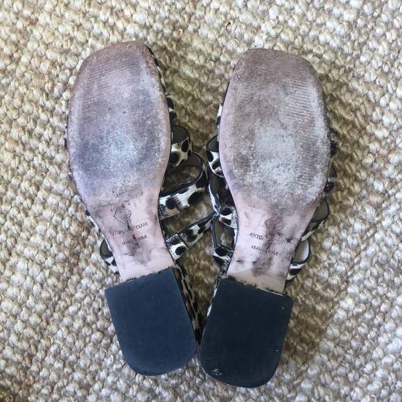 Leopard Slides - Picture 4 of 4